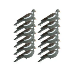 12 Formes De Pigeon Avec Piquet