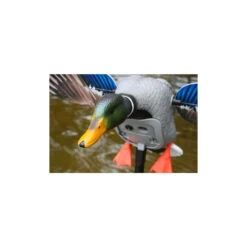 Canard à Ailes Tournantes Mojo King Mallard -Équipement De Chasse canard a ailes tournantes mojo king mallard 3