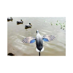 Canard à Ailes Tournantes Mojo King Mallard -Équipement De Chasse canard a ailes tournantes mojo king mallard 5