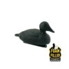 Forme D'eider Insubmersible