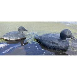 Forme D'eider Noire Magnum -Équipement De Chasse forme d eider noire magnum 2