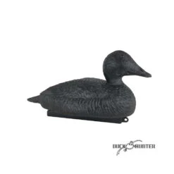Forme D'eider Noire Magnum