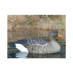 Forme D'oie Cendrée Flottante HD X6 -Équipement De Chasse forme d oie cendree flottante hd x6 2