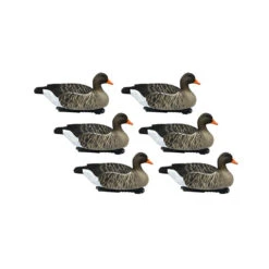 Forme D'oie Cendrée Flottante HD X6
