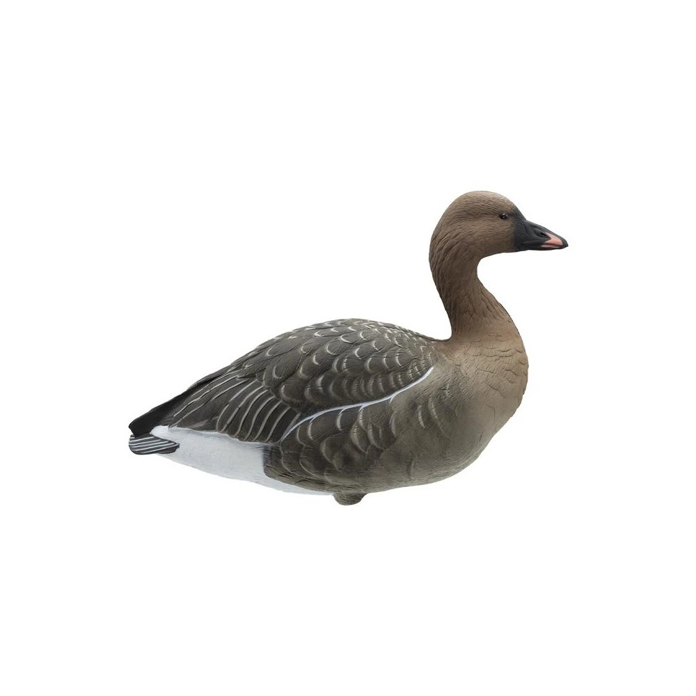 Forme D'oie Des Moissons Sur Pattes Final Approach X6 2 Forme D'oie Des Moissons Sur Pattes Final Approach X6 – Image 2