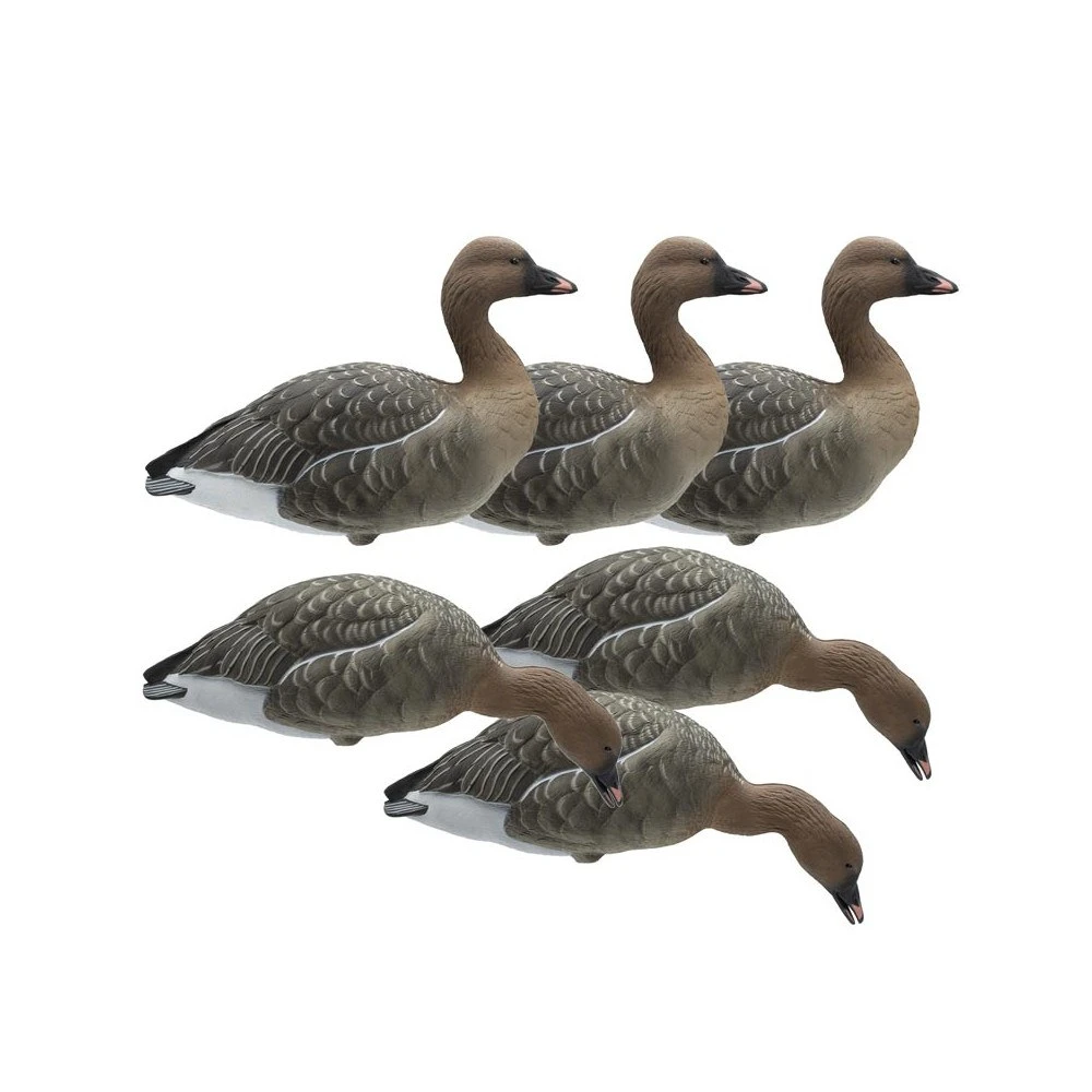 Forme D'oie Des Moissons Sur Pattes Final Approach X6 1 Forme D'oie Des Moissons Sur Pattes Final Approach X6