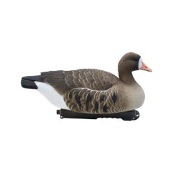 Forme D'oie Rieuse Flottante HD