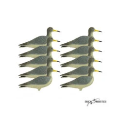 Forme De Chevalier Combattant X10