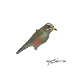 Forme De Grive Mauvis