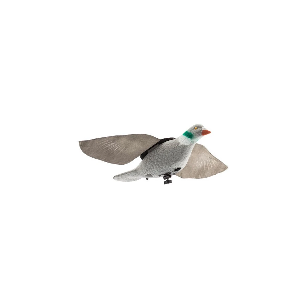Forme De Pigeon Super Flap 1 Forme De Pigeon Super Flap