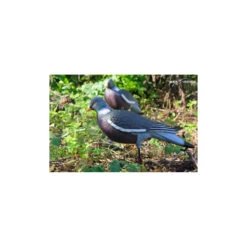 Forme Vision Pigeon HD Active -Équipement De Chasse forme vision pigeon hd active 2