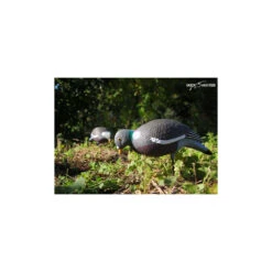 Forme Vision Pigeon HD Mangeur -Équipement De Chasse forme vision pigeon hd mangeur 2