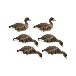 Formes D'oie Rieuse Sur Pattes Final Approach