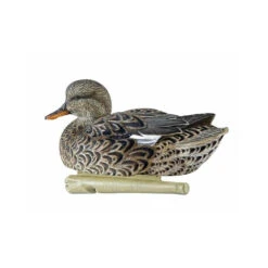 Formes De Chipeau AvianX Actifs HD -Équipement De Chasse formes de chipeau avianx 4
