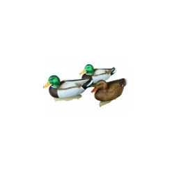 Formes De Colvert HD Peinture UVision