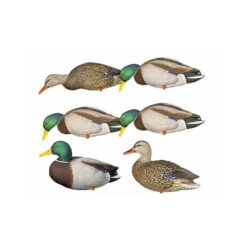 Formes De Colvert Sur Pattes AvianX