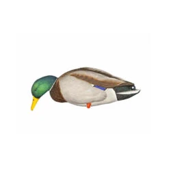Formes De Colvert Sur Pattes AvianX -Équipement De Chasse formes de colvert sur pattes avianx 3