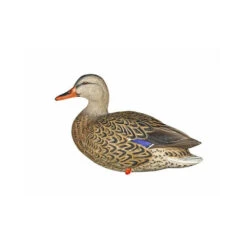 Formes De Colvert Sur Pattes AvianX -Équipement De Chasse formes de colvert sur pattes avianx 4