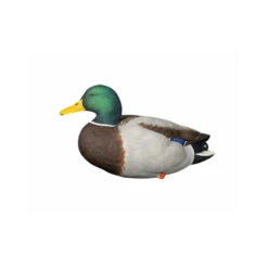 Formes De Colvert Sur Pattes AvianX -Équipement De Chasse formes de colvert sur pattes avianx 5