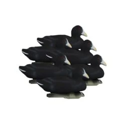 Formes De Foulque HD Higdon