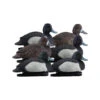 Formes De Morillon AvianX