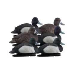 Formes De Morillon AvianX