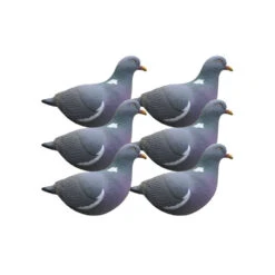 Formes De Pigeon Actif Last Pass X6