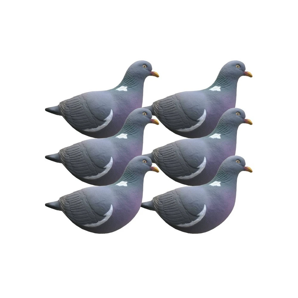 Formes De Pigeon Actif Last Pass X6 1 Formes De Pigeon Actif Last Pass X6