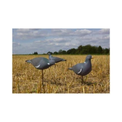 Formes De Pigeon Last Pass X12 10 Formes De Pigeon Last Pass X12 -Équipement De Chasse formes de pigeon last pass x12 4