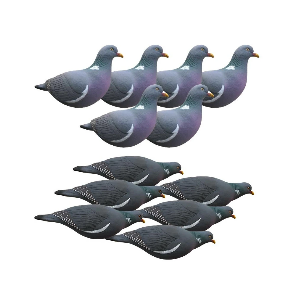 Formes De Pigeon Last Pass X12 1 Formes De Pigeon Last Pass X12