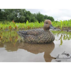 Formes De Pilet AvianX Actifs -Équipement De Chasse formes de pilet avianx actifs 2