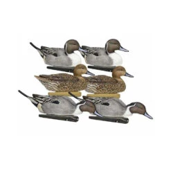 Formes De Pilet AvianX Actifs