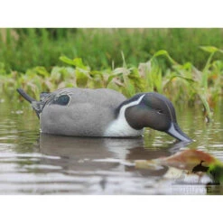 Formes De Pilet AvianX Actifs -Équipement De Chasse formes de pilet avianx actifs 4