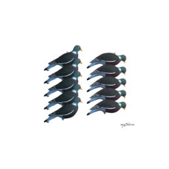 Formes Vision Pigeon HD UV X10 + 2 Offertes 13 Formes Vision Pigeon HD UV X10 + 2 Offertes -Équipement De Chasse formes vision pigeon hd uv x10 2 offertes 6