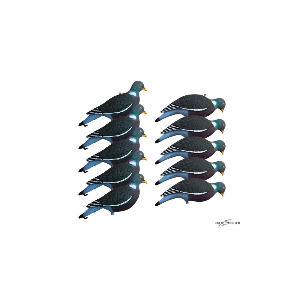 Formes Vision Pigeon HD UV X10 + 2 Offertes 7 Formes Vision Pigeon HD UV X10 + 2 Offertes – Image 7