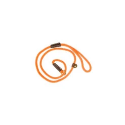 Laisse De Dressage Country