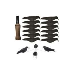 Pack Coquilles Corvidés