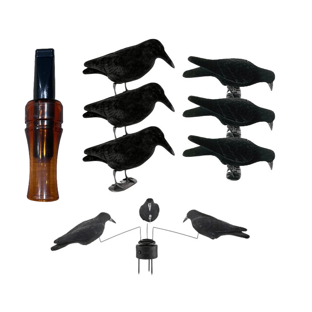 Pack Corvidés Start 1 Pack Corvidés Start