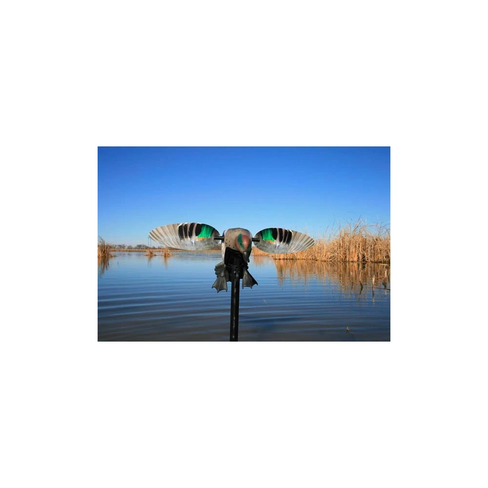 Sarcelle à Ailes Tournantes Mojo Elite Serie Teal 4 Sarcelle à Ailes Tournantes Mojo Elite Serie Teal – Image 4