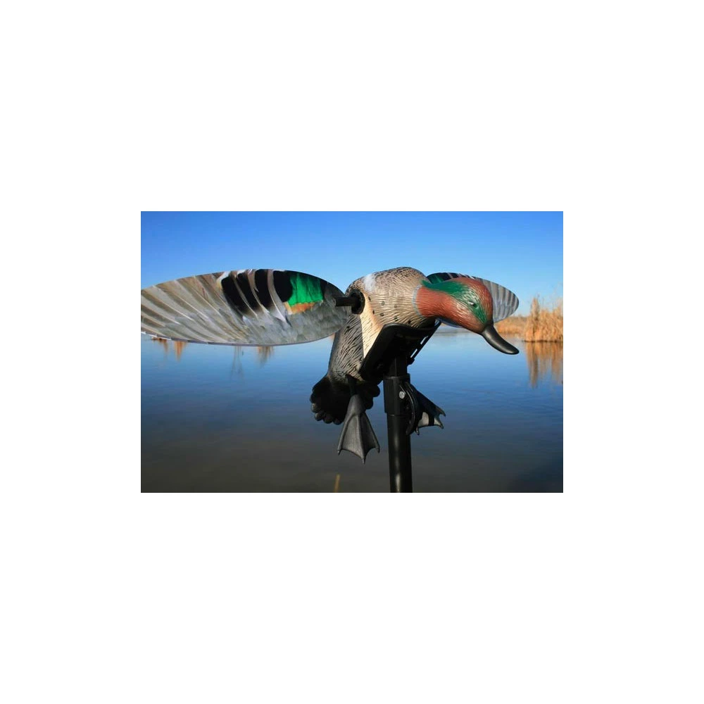 Sarcelle à Ailes Tournantes Mojo Elite Serie Teal 1 Sarcelle à Ailes Tournantes Mojo Elite Serie Teal